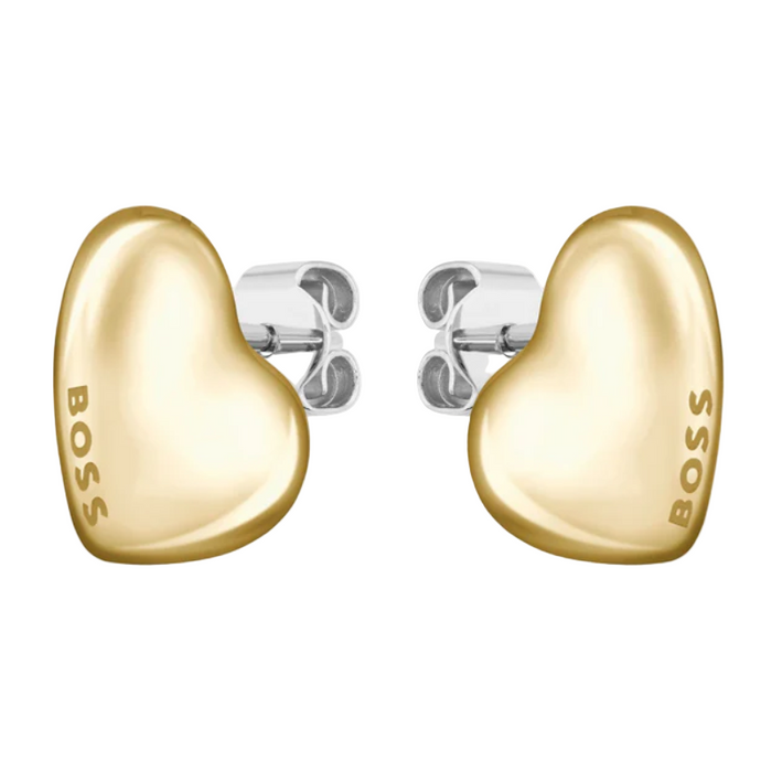Boss Women's Two Tone Stainless Steel Earrings - 1580564