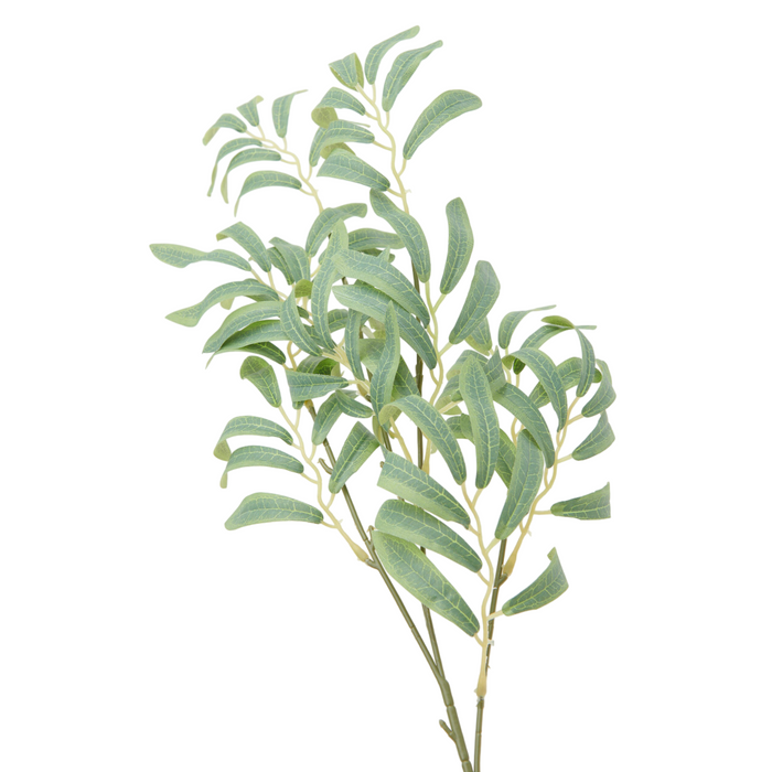 Decorative Pale Green Leaves
