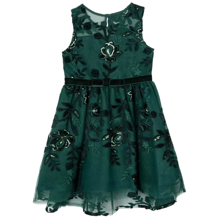 Rare Editions - Little Girls Burnout Velvet Dress