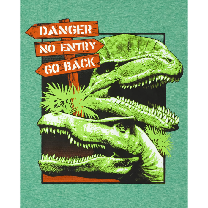 The Children's Place - Big Boys Short Sleeve T-Shirt XL (14)