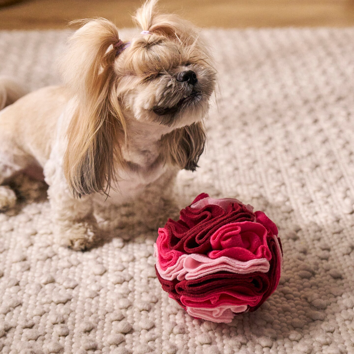 Snuffle Mat Ball Pastel Pink