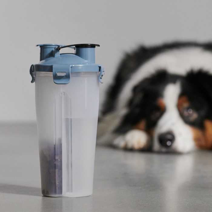 Dog Bottle Water and Food Container