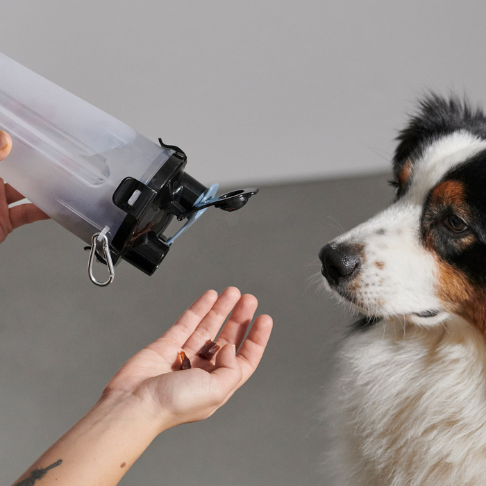 Dog Bottle Water and Food Container