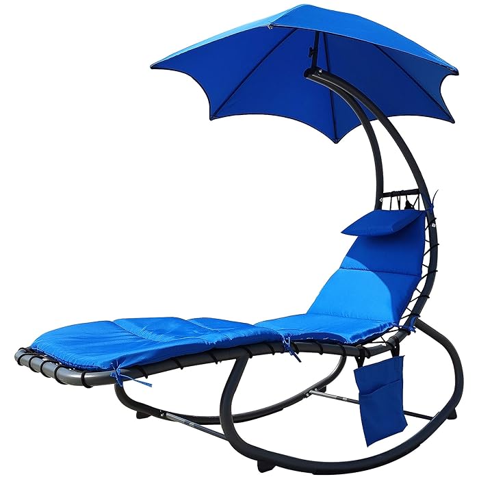 Swing Chair with Canopy