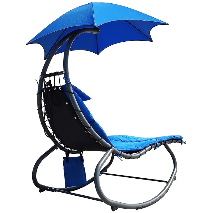 Swing Chair with Canopy