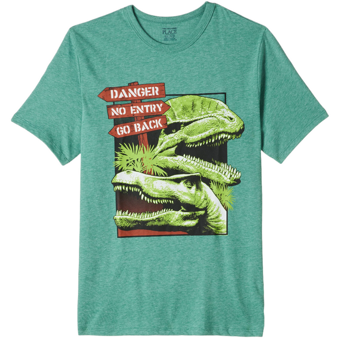 The Children's Place - Big Boys Short Sleeve T-Shirt XL (14)