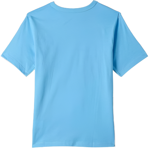The Children's Place - Big Boys Short Sleeve T-Shirt Blue (Medium)