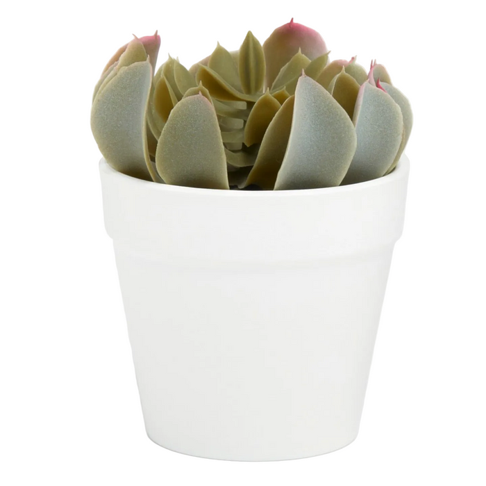 Artificial Rounded Rosette Leaves in Pot