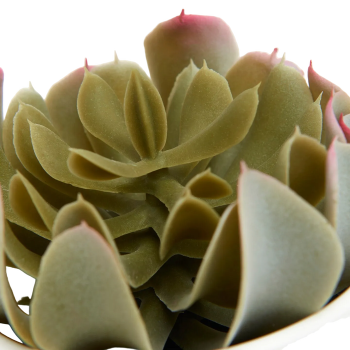 Artificial Rounded Rosette Leaves in Pot