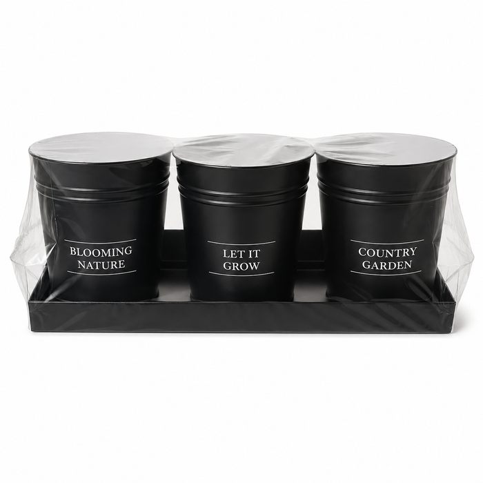 3-Pcs Black Tin Can Pant Pots with Tray