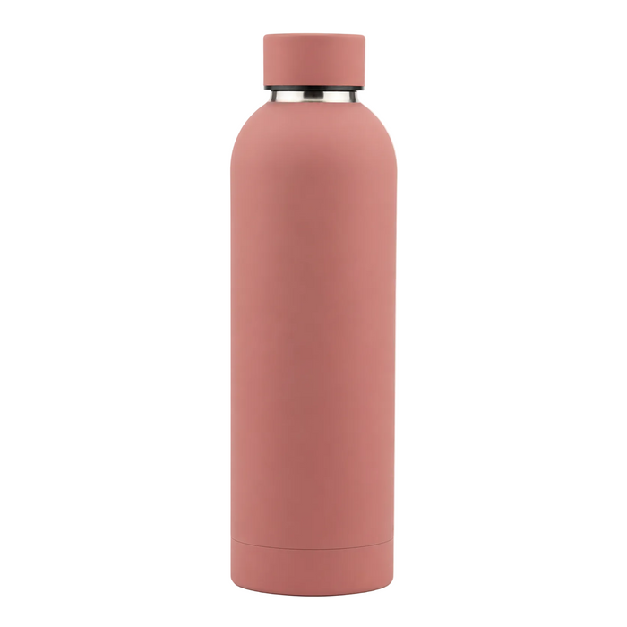 Insulated Stainless Steel Water Bottle