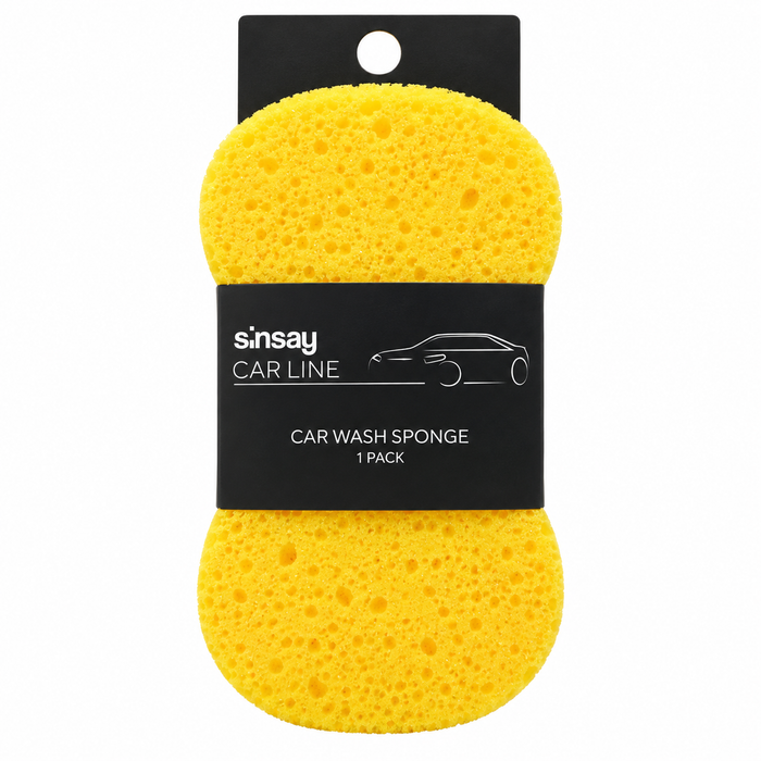 Car Wash Sponge