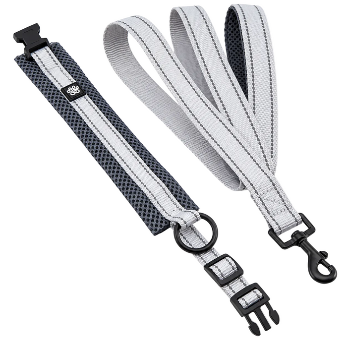Reflective Dog Collar & Leash Set