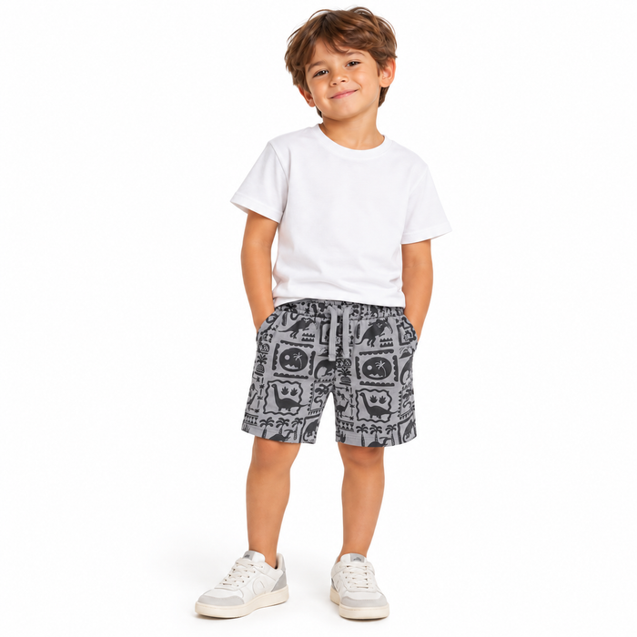 Mini V by Very - Little Boys Dark Grey Shorts with Dinosaurs Print