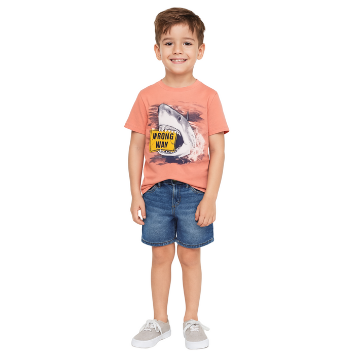 The Children's Place - Big Boys Short Sleeve T-Shirt