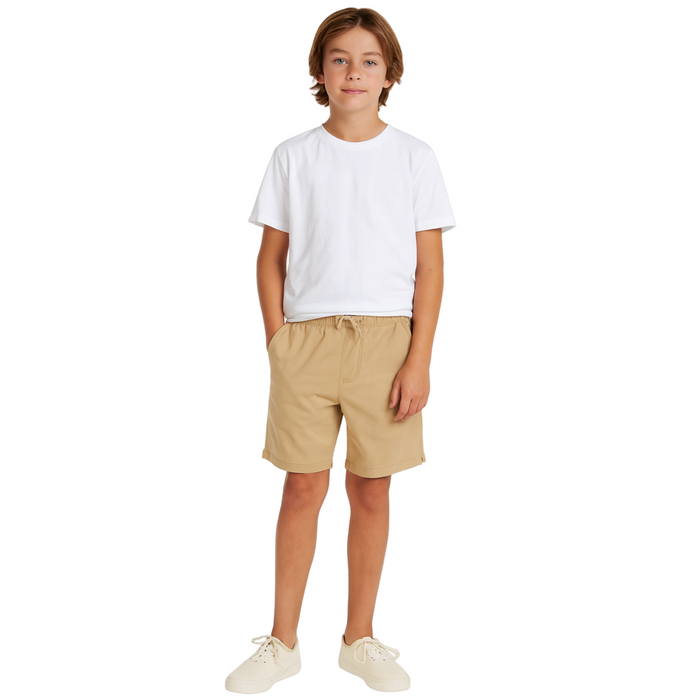 Quiksilver - Big Boys Taxer Walk Shorts Khaki
