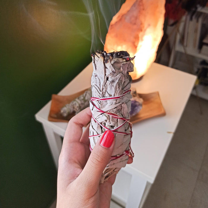 Palm Lights - White Sage Smudge Stick