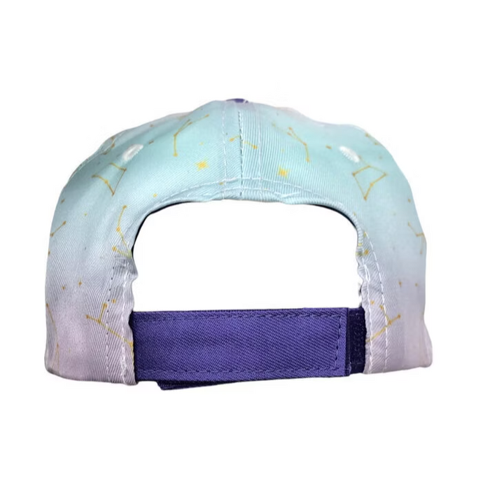 Disney Wish Baseball Cap