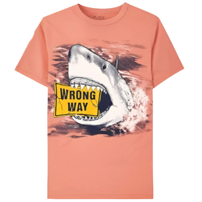 The Children's Place - Big Boys Short Sleeve T-Shirt