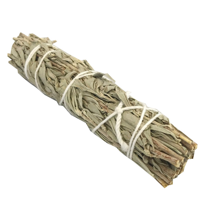 Palm Lights - White Sage Smudge Stick