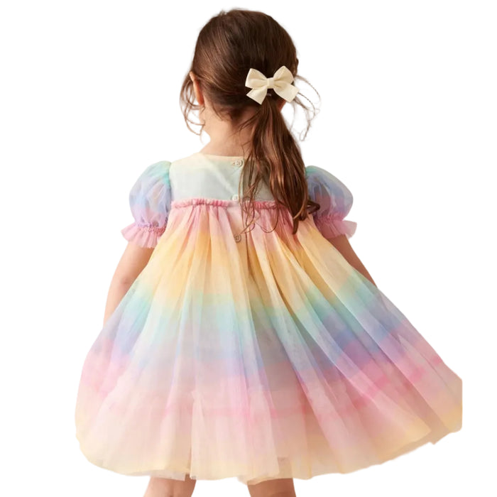 Sparkle and Shine - Rainbow Mesh Party Dress (2)
